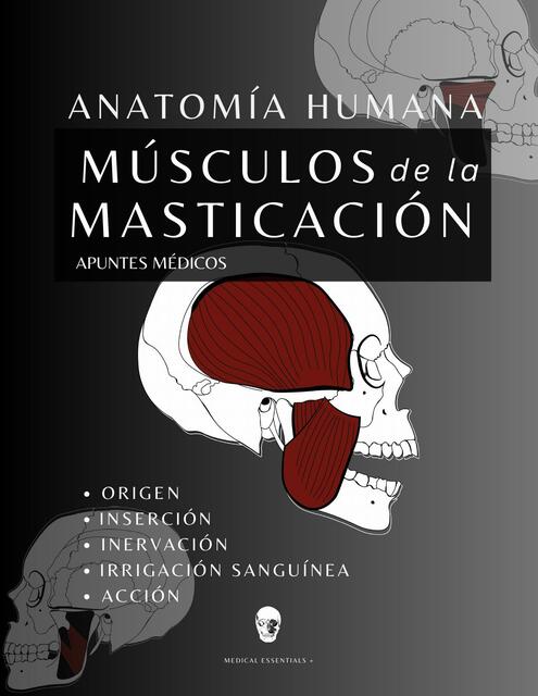 Músculos de la Masticación Anatomía y Fisiología