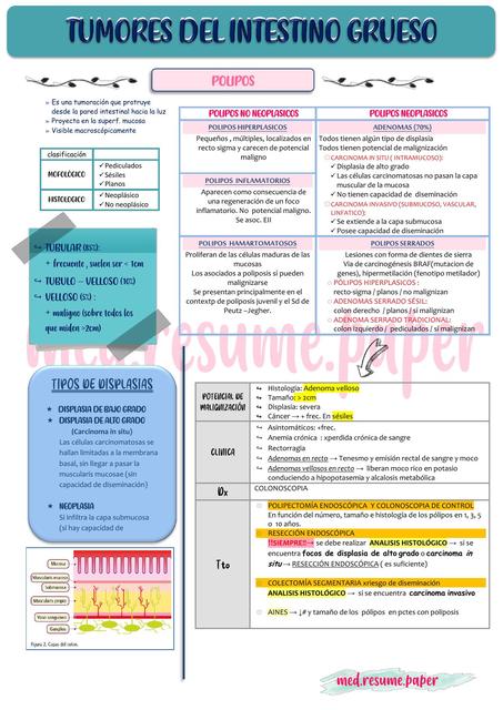 TUMORES DEL INTESTINO GRUESO