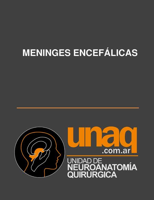 Meninges encefálicas 