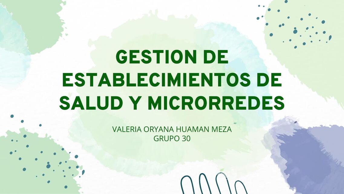 Gestión de establecimientos de salud y microrredes 