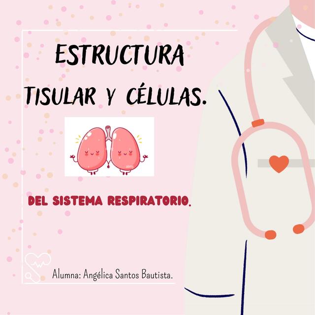 Estructura tisular y células 