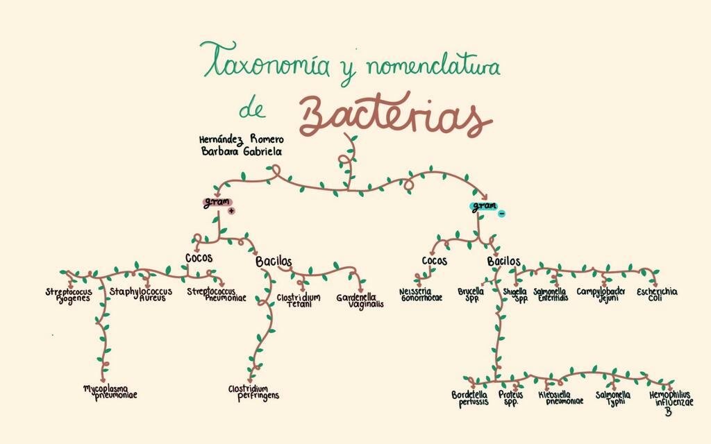 Taxonomía Y Nomenclatura de la bacterias