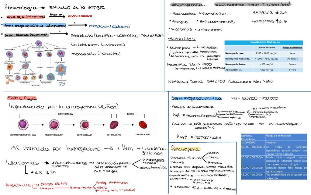 Hematología 