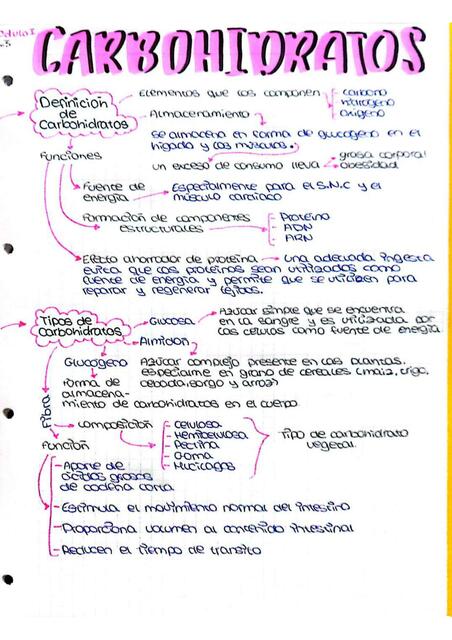 Carbohidratos