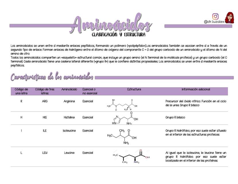 AMINOACIDOS