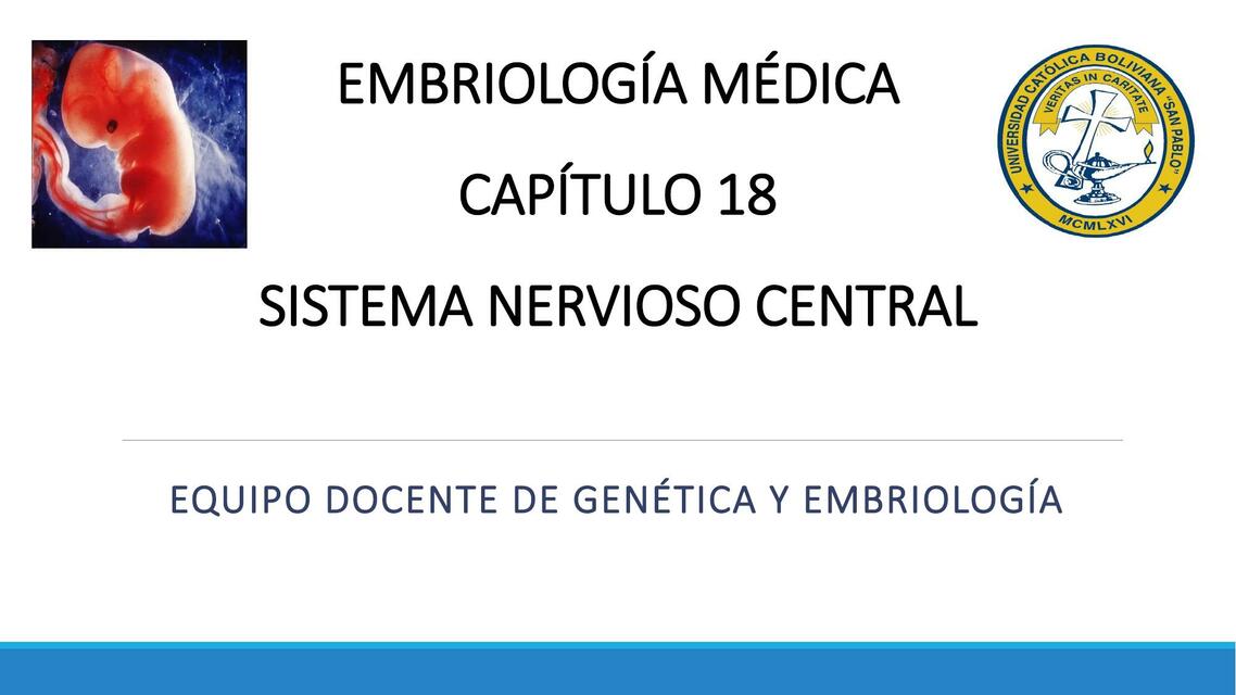 Sistema Nervioso Central 