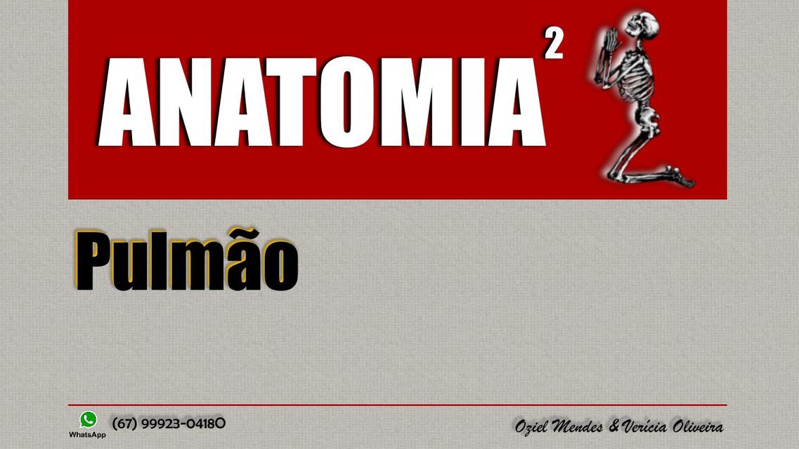 AULA DE ANATOMIA DO PULMÃO