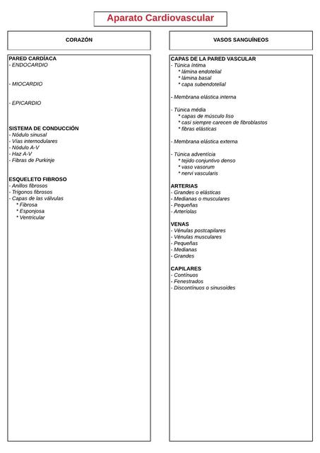 Diagrama Aparato cardiovascular