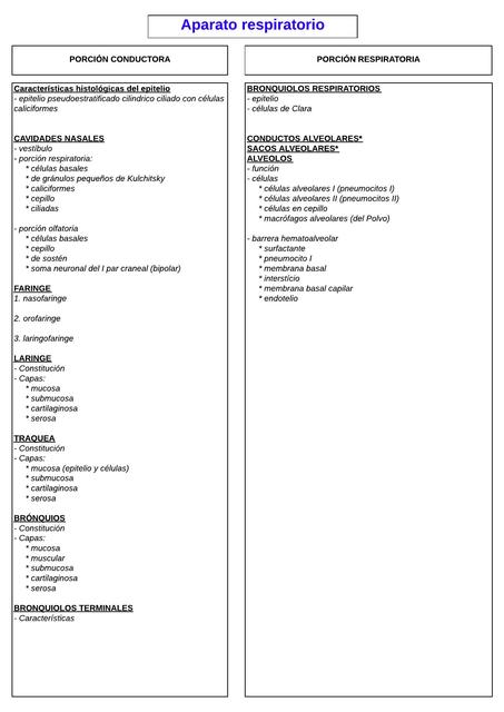 Diagrama Aparato respiratório