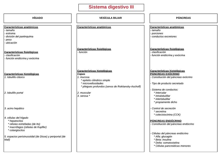 Diagrama Digestivo III