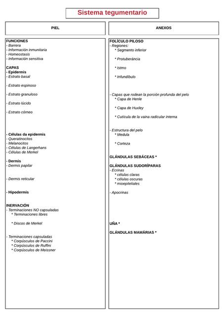 Diagrama Sistema tegumentario