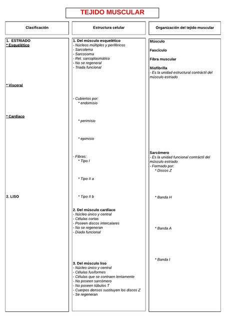 Diagrama Tejido muscular