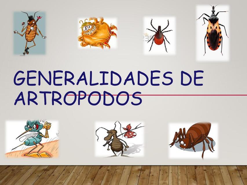 Generalidades de los artropodos | Felisa Ivania Gomez Garcia | uDocz