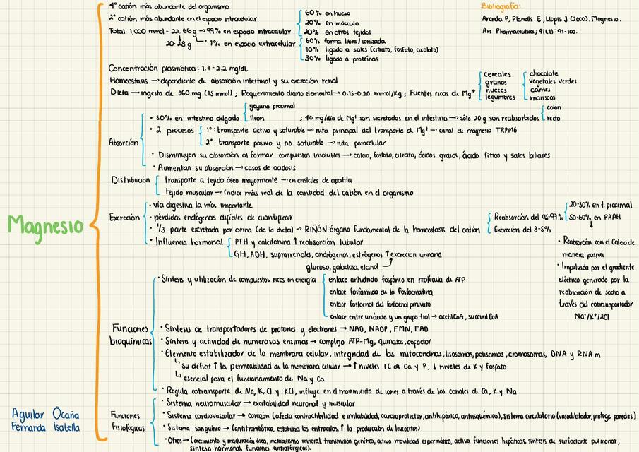 Metabolismo del magnesio