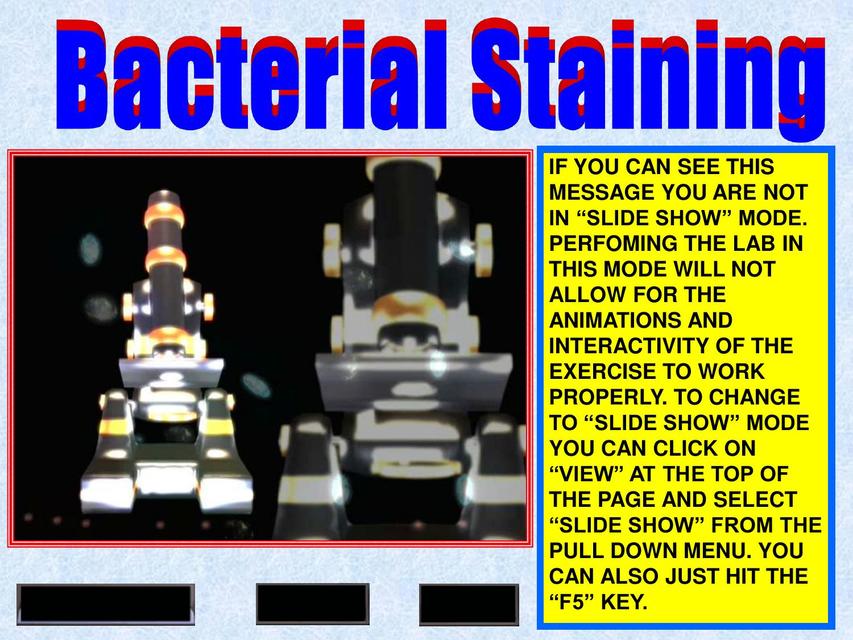 Bacterial Staining LAB VIRTUAL