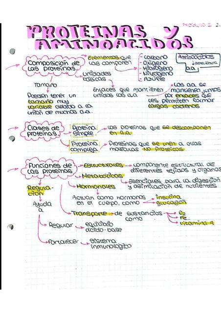 Proteínas y Aminoácidos