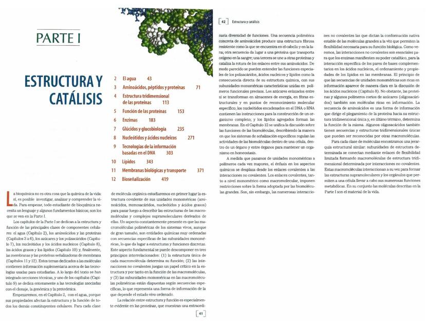 Estructura y Catálisis 