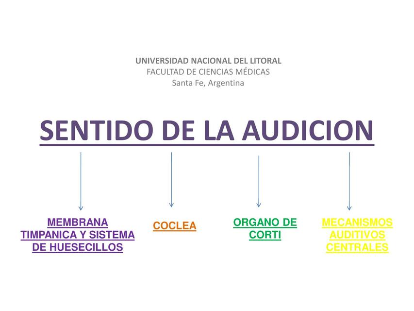 Fisiología Audición y Equilibrio