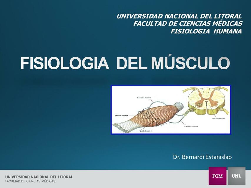 Fisiología del Músculo 