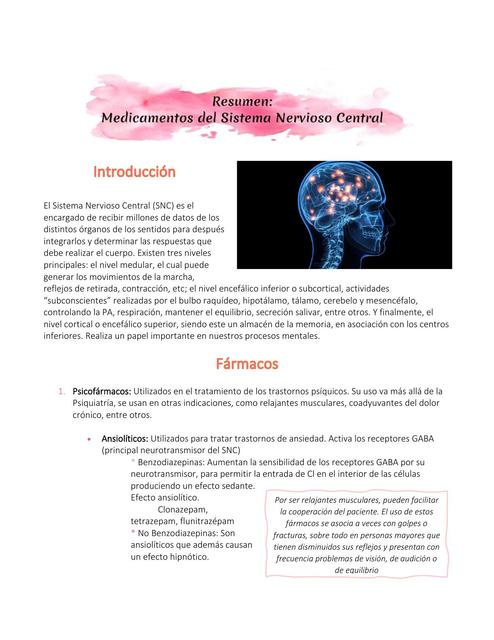 Resumen Medicamentos Del Sistema Nervioso Central | Sistema Nervioso ...