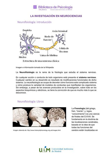 Neurociencias Neurofisiologia