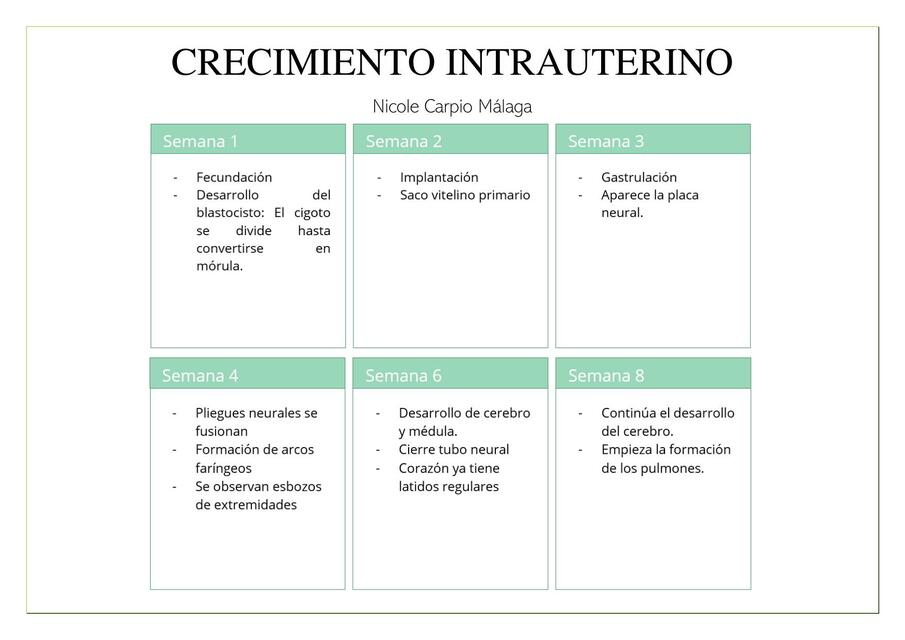 CRECIMIENTO INTRAUTERINO 