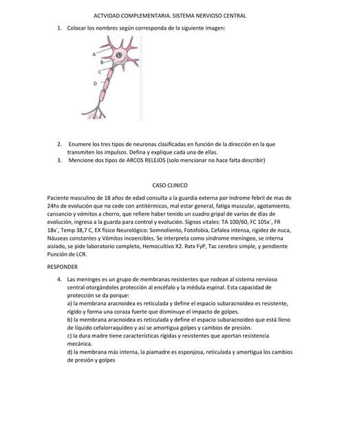 Sistema Nervioso Central 