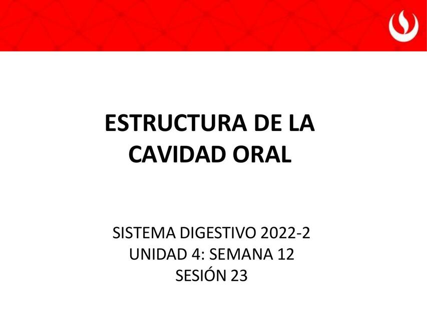 Teoría 23 Estructura de la Cavidad Oral 