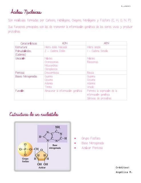 Ácidos Nucleicos y Características del ADN.