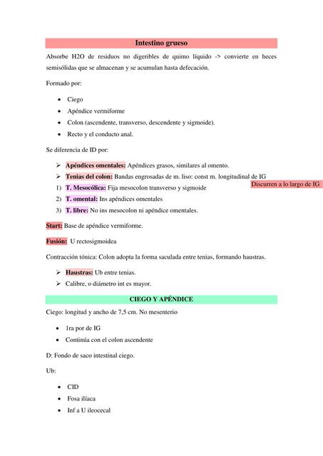 Resumen intestino grueso