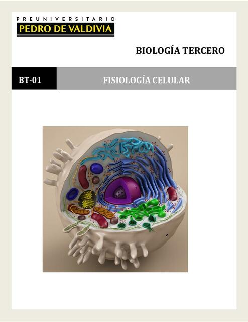 Fisiología celular 