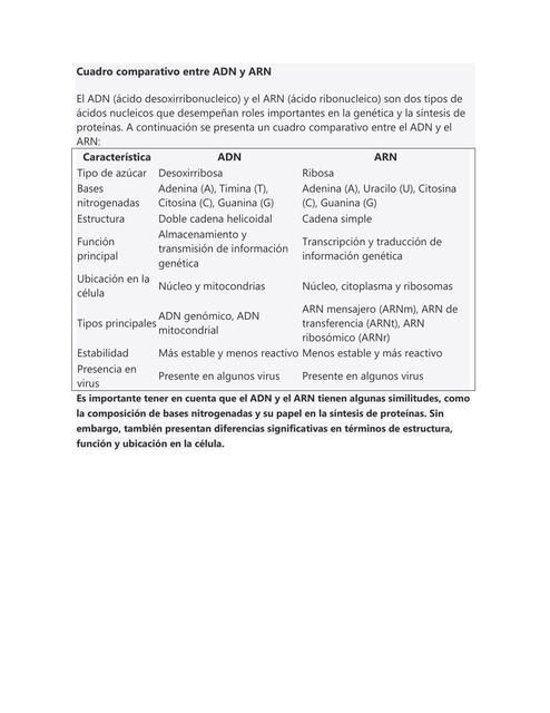 Cuadro Comparativo entre ADN y ARN 