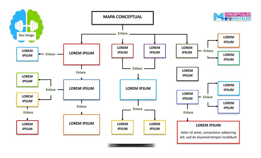 Plantilla Mapa Conceptual 