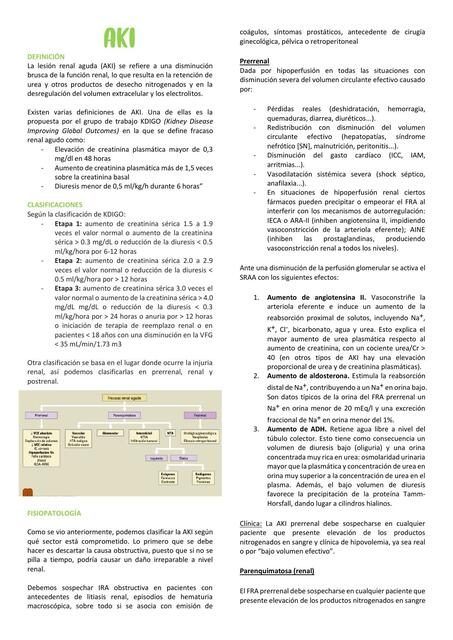 Insuficiencia renal aguda