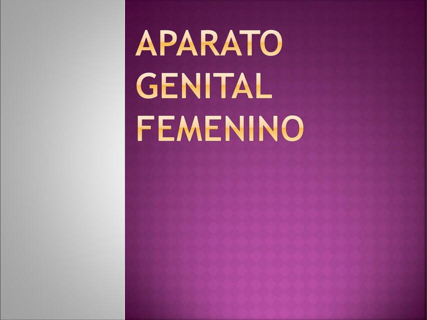 Aparato genital femenino