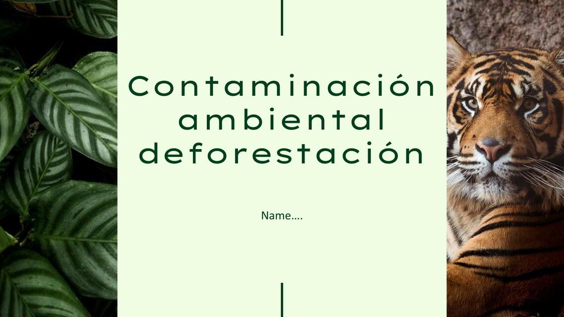 Contaminación ambiental deforestación