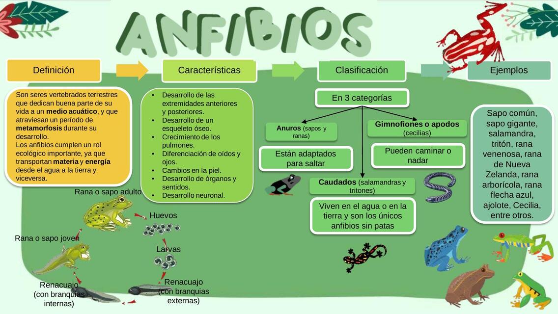 Reptiles y anfibios