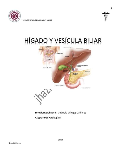 Hígado y Vesícula Biliar 