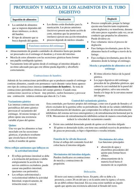 Fisiología y mezcla de los alimentos de en el tubo digestivo 