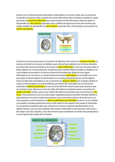 Hueso Esfenoides