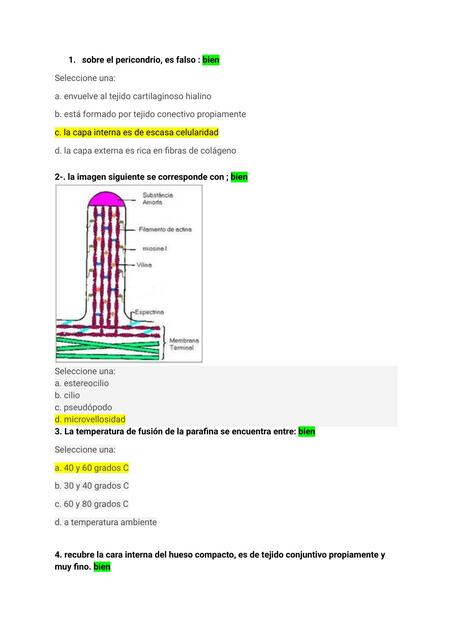 Parcial Histórico de Histología 