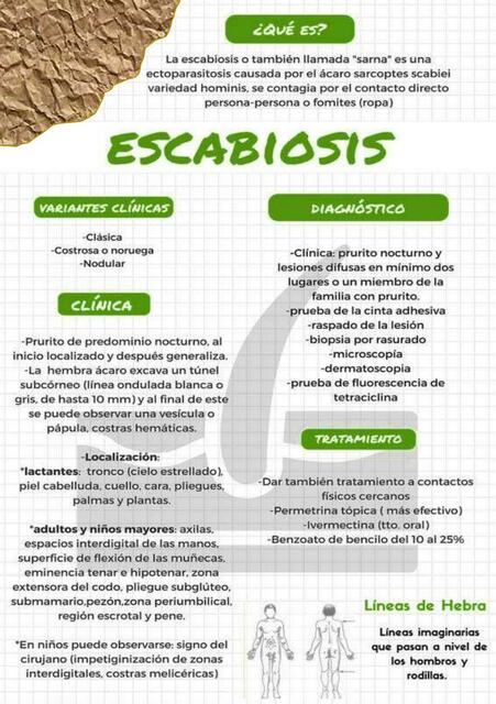 Escabiosis