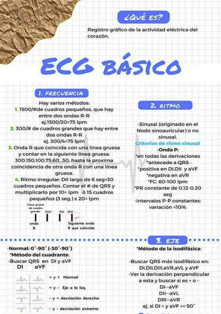 ECG Básico