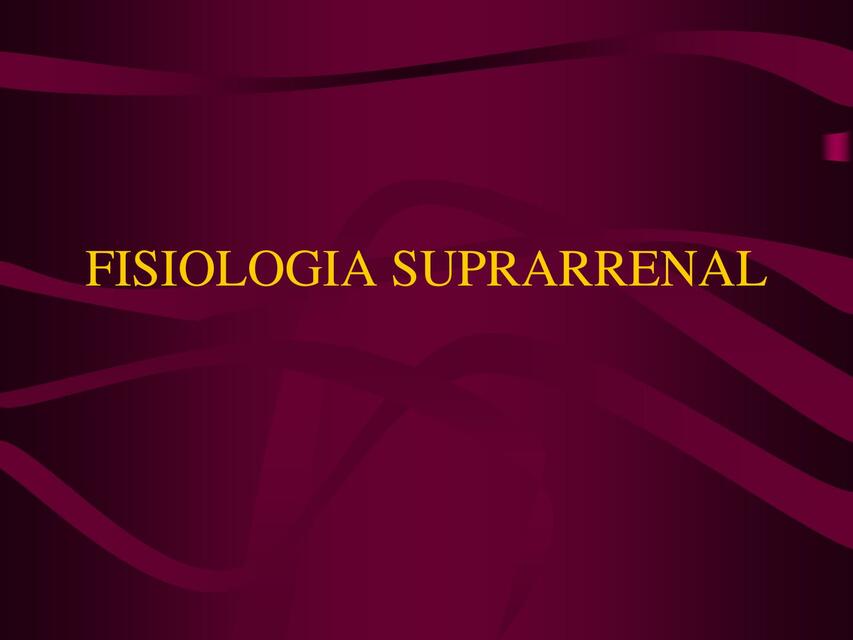 FISIOLOGIA SUPRARRENAL