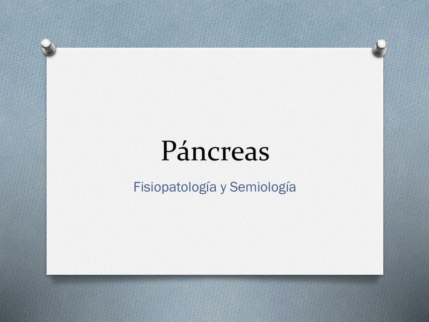 Páncreas 