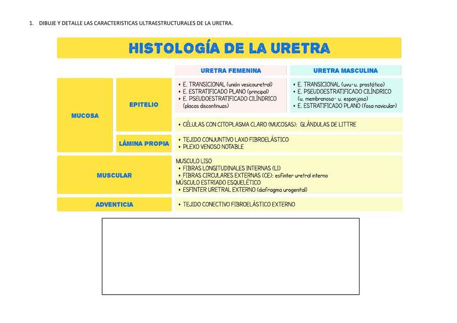 CUESTIONARIO N3 IV UNIDAD