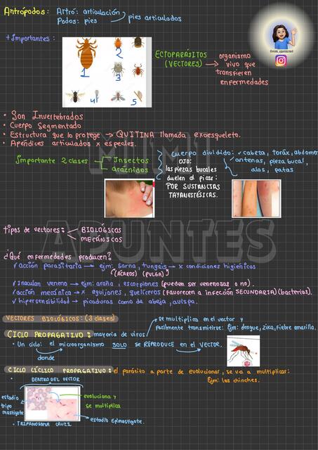 Artrópodos/ parasitología