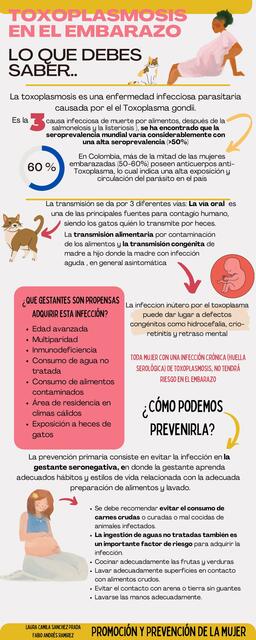 INFOGRAFIA TOXOPLASMOSIS