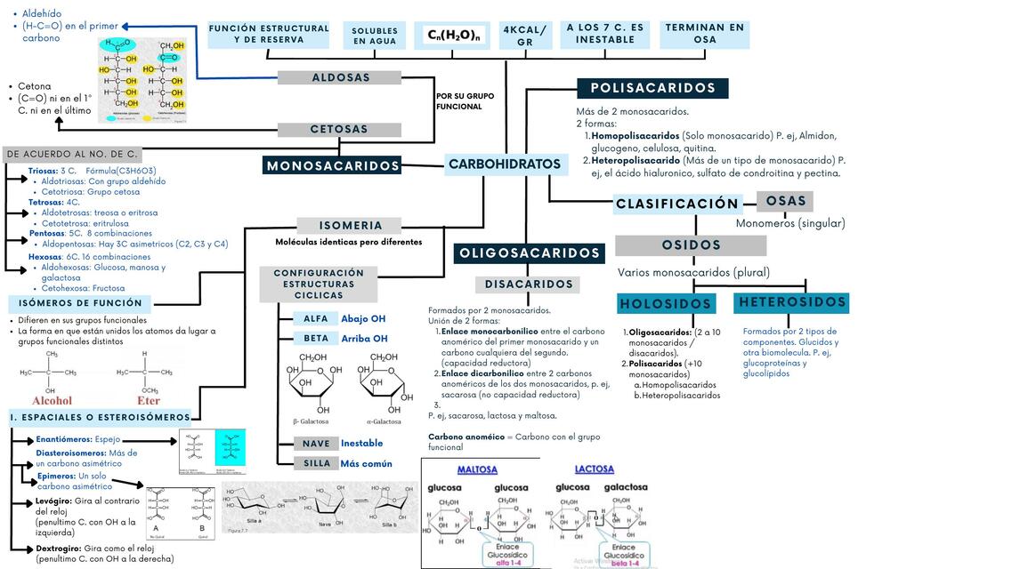 Carbohidratos