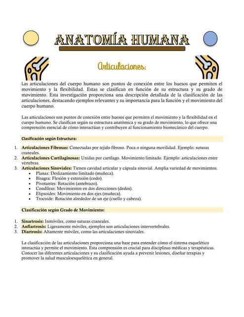 Anatomía Humana